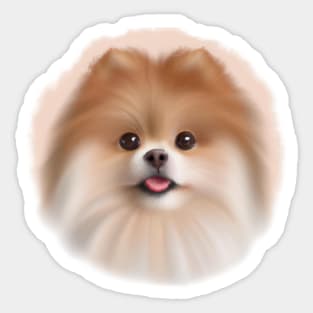 Cute Pomeranian Drawing Sticker